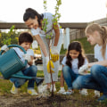 Volunteer Opportunities for Seniors in NYC